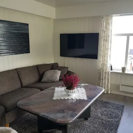 Koppangenview Tatil Evi *
