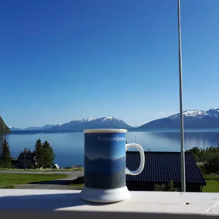 Koppangenview Lyngseidet